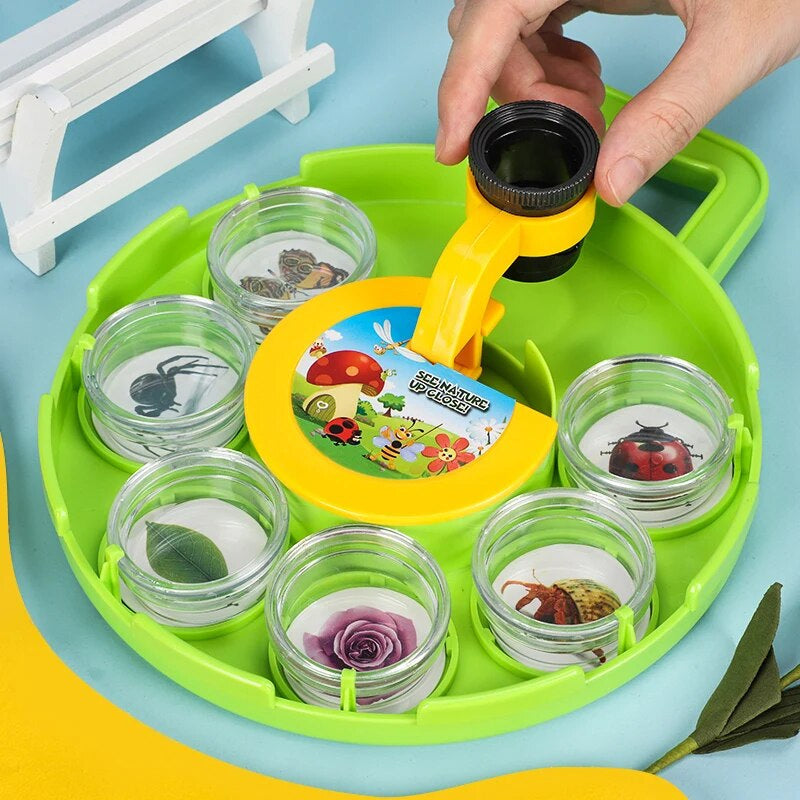 Insect Observation Box™ - Collect and Explore - Insect Viewer