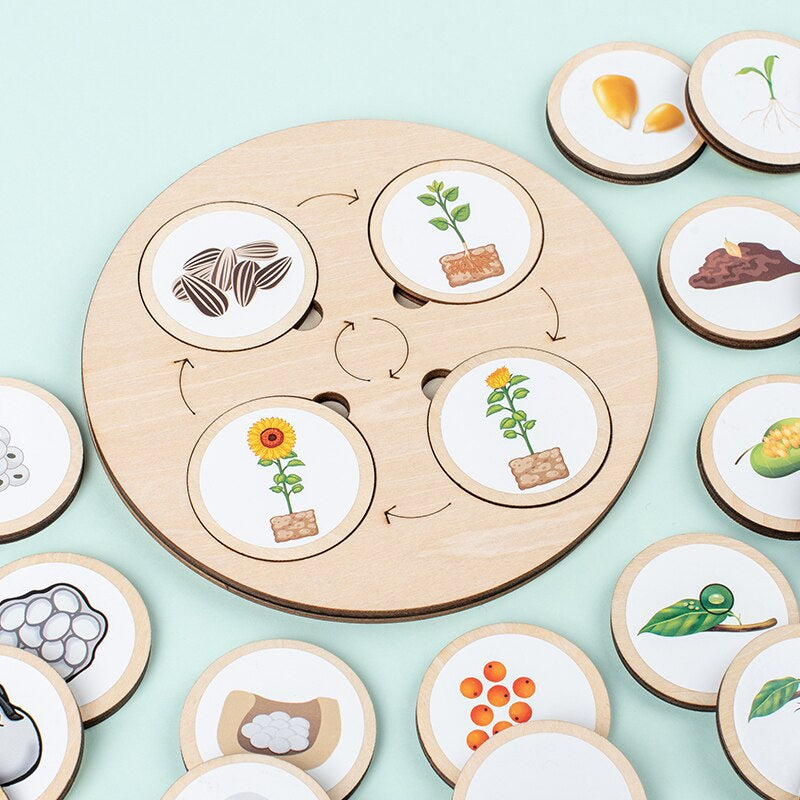Kids Wooden Puzzle | Life Cycle Learning | Sorting Toy Unisex Design