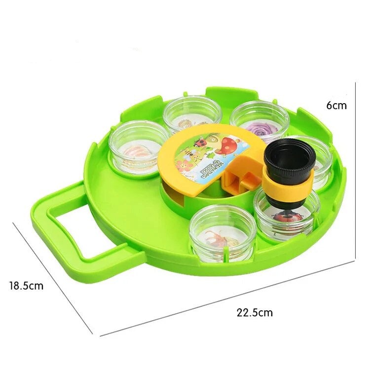 Insect Observation Box™ - Collect and Explore - Insect Viewer
