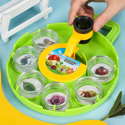 Insect Observation Box™ - Collect and Explore - Insect Viewer