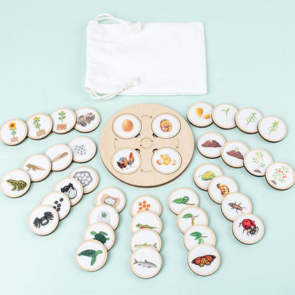 Woods™ - Discover the life cycle! - Wooden puzzle