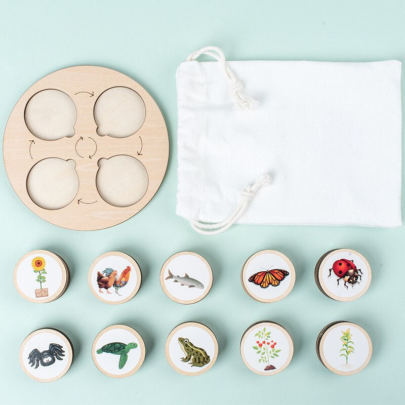 Woods™ - Discover the life cycle! - Wooden puzzle