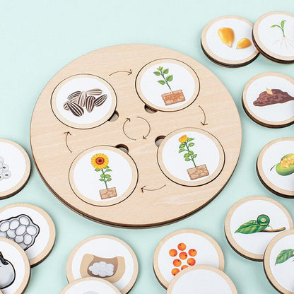 Woods™ - Discover the life cycle! - Wooden puzzle