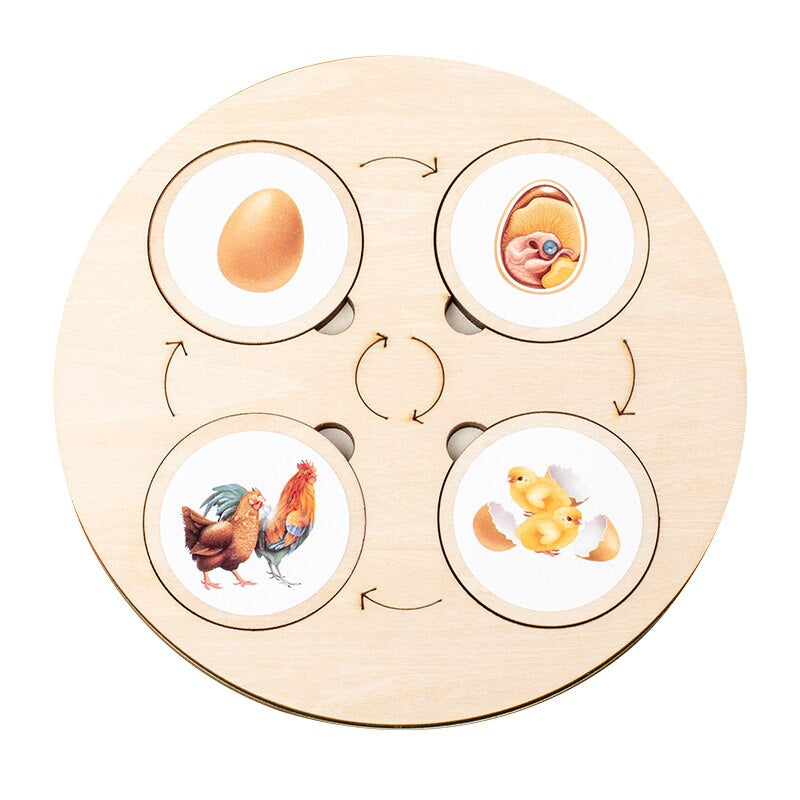 Woods™ - Discover the life cycle! - Wooden puzzle