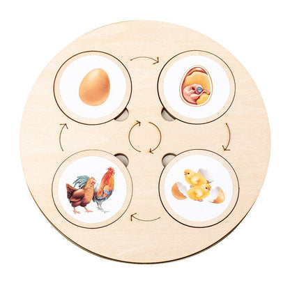 Woods™ - Discover the life cycle! - Wooden puzzle